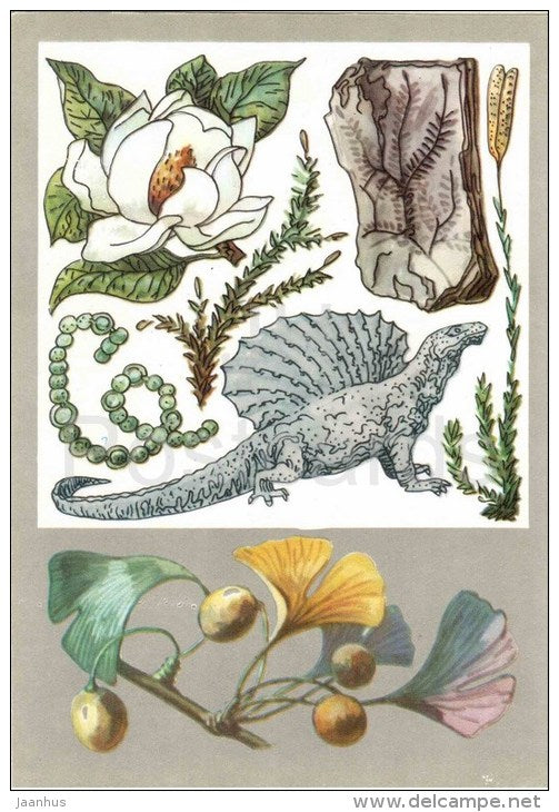 ginkgo - moss - Selaginella - magnolia - Relic Plants - Amazing Plants - 1976 - Russia USSR - unused - JH Postcards