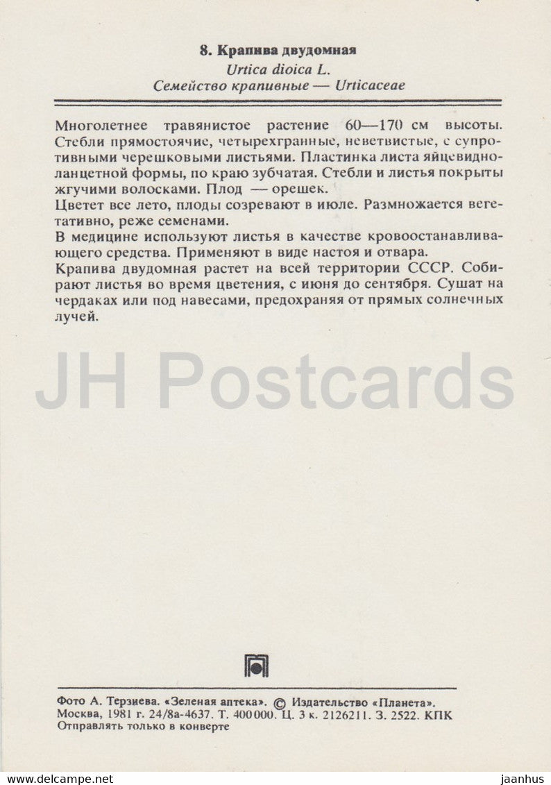 Common Nettle - Urtica dioica - Medicinal Plants - 1981 - Russia USSR - unused