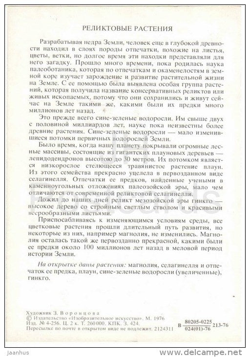 ginkgo - moss - Selaginella - magnolia - Relic Plants - Amazing Plants - 1976 - Russia USSR - unused - JH Postcards