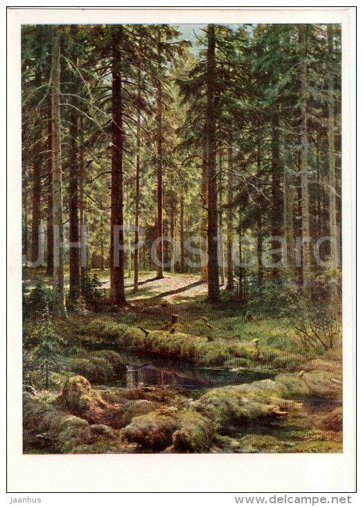painting by I. Shishkin - Coniferous Forest . Sunny Day , 1895 - russian art - unused - JH Postcards