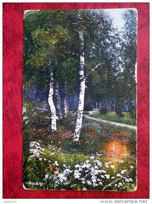 Birch Grove - photo by Parikas - Estonian landscape - nature - circulated in 1925 - Estonia - used - JH Postcards