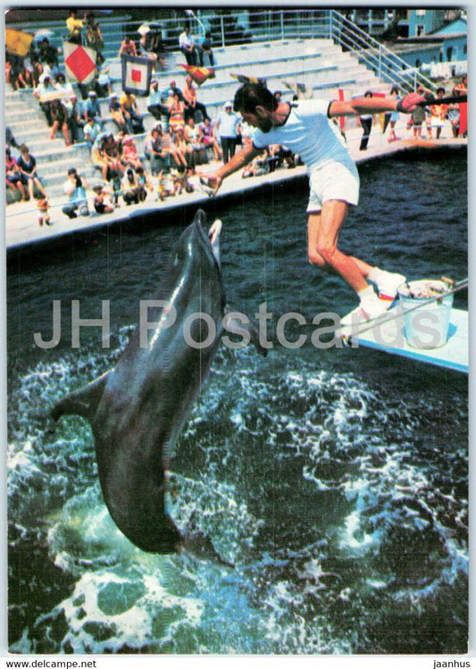 Batumi Dolphinarium - dolphin - jumping - 1980 - Georgia USSR - unused - JH Postcards