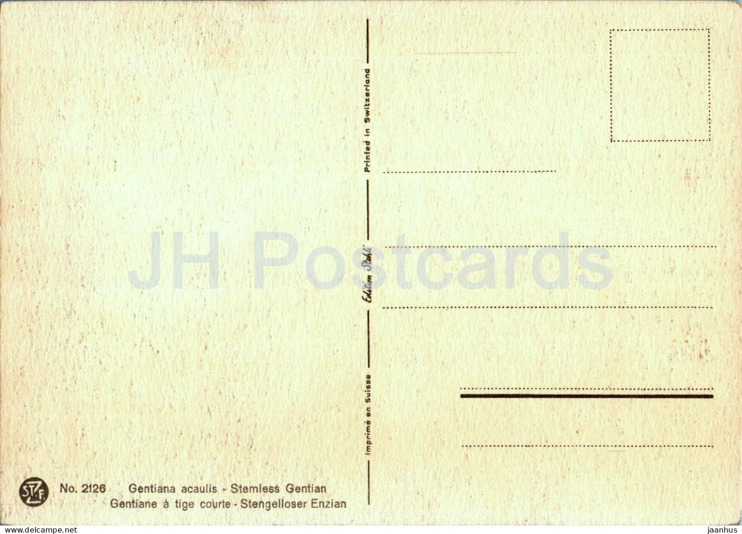 Gentiana acaulis - Gentiane sans tige - Stengelloser Enzian - 2126 - carte postale ancienne - fleurs - Suisse - inutilisé 