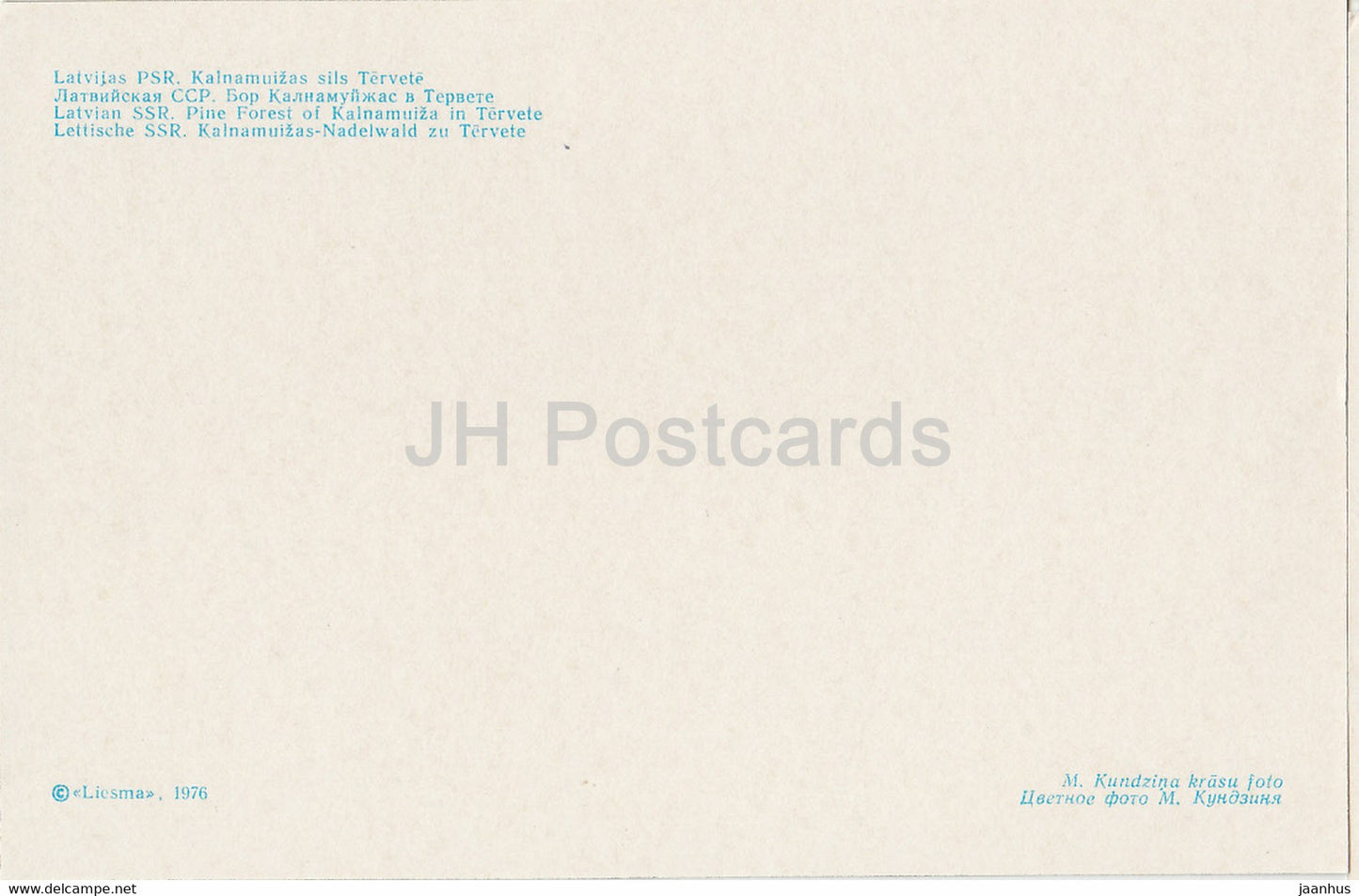 Nature lettone - Forêt de pins de Kaunamuiza à Tervete - 1976 - Lettonie URSS - inutilisé
