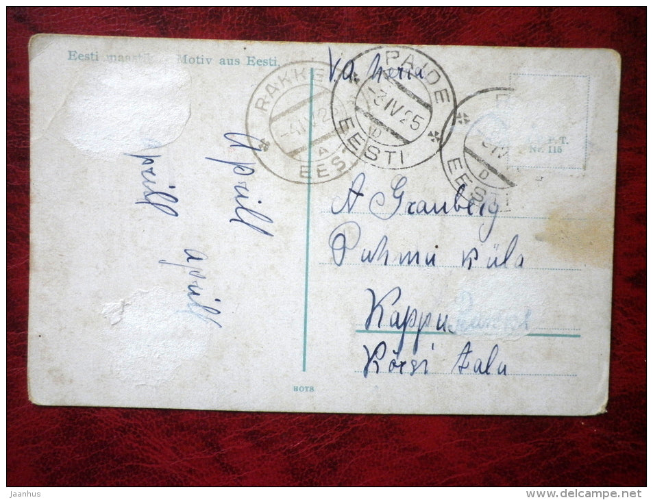 Birch Grove - photo by Parikas - Estonian landscape - nature - circulated in 1925 - Estonia - used - JH Postcards