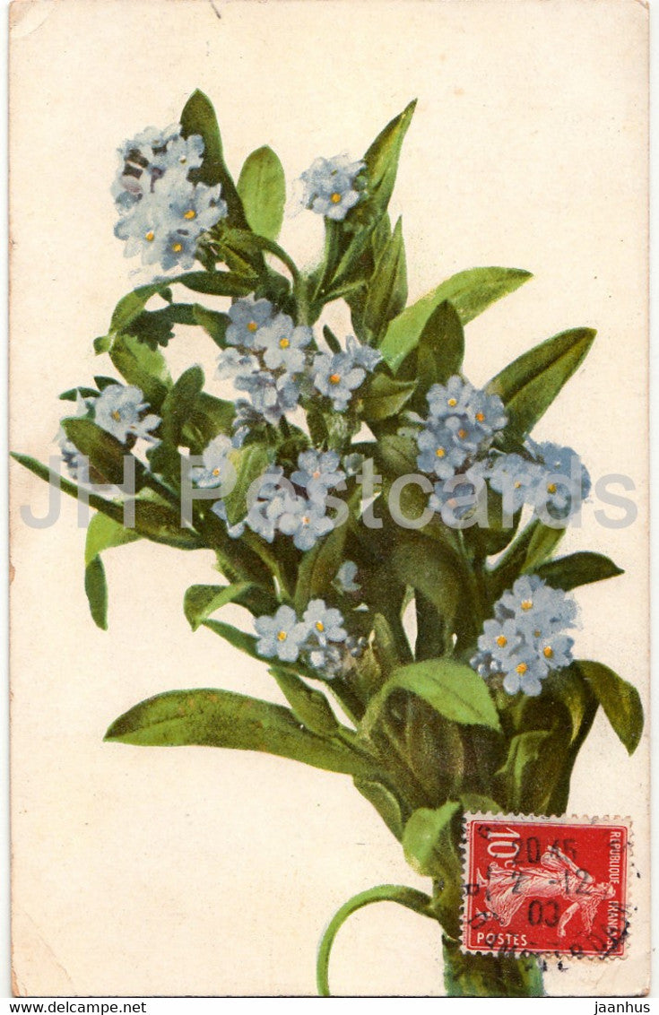 blue flowers - NZG 96 - old postcard - France - used - JH Postcards