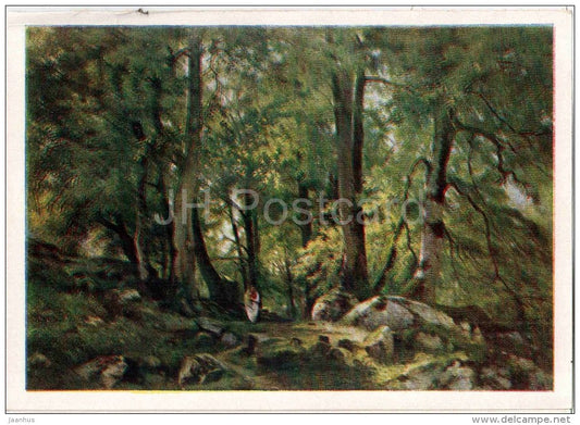 painting by I. Shishkin - In the Forest - russian art - unused - JH Postcards