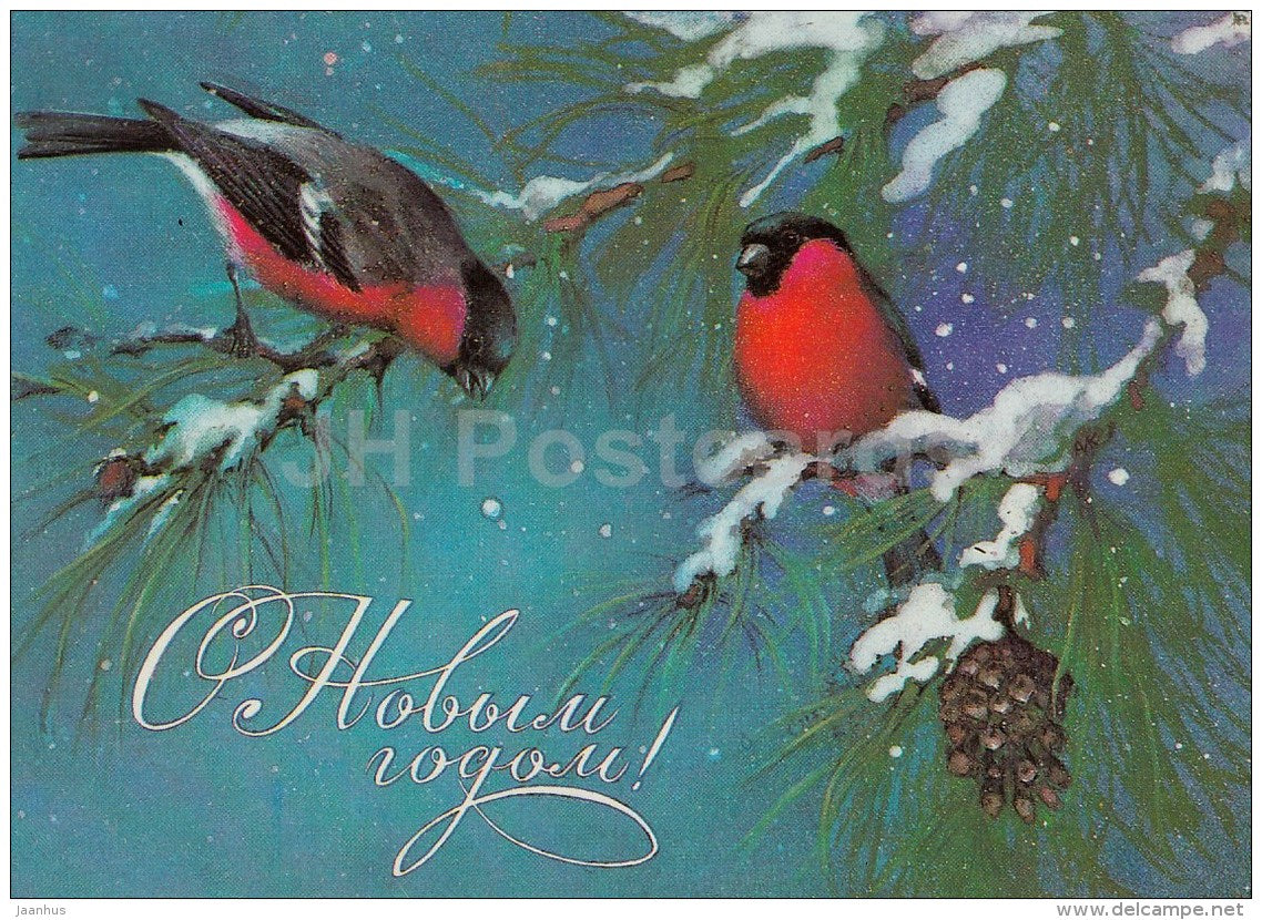 New Year Greeting Card by A. isakov - bullfinch - birds - postal stationery - 1985 - Russia USSR - used - JH Postcards