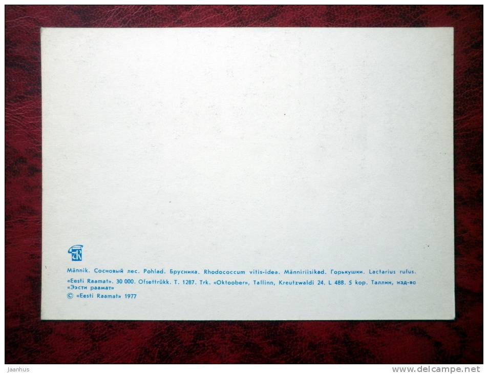 Estonian Nature - Pine, lingonberries, mushrooms - USSR - 1977 - unused - JH Postcards