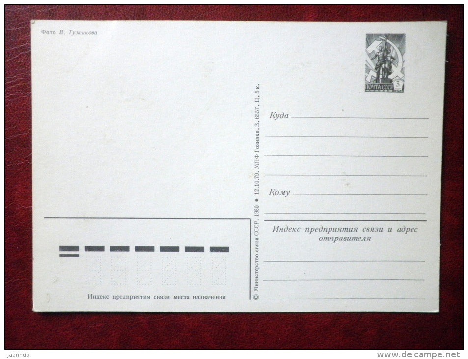 Russian souvenirs - matryoshka - carriage - 1980 - Russia USSR - unused - JH Postcards