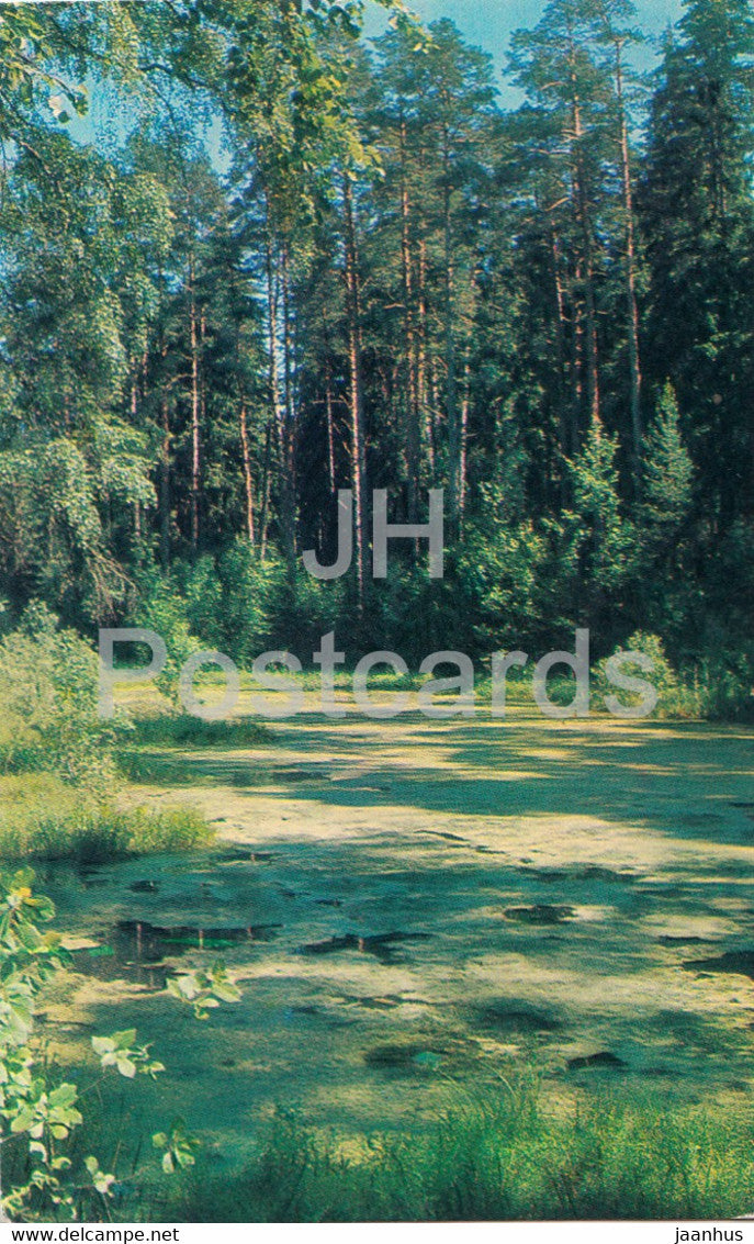 Mikhaylovskoye Museum Reserve - Mikhaylovskoye pond - Pushkin - 1969 - Russia USSR - used - JH Postcards