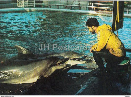 jumping onto a trainers catwalk - dolphins - Oceanarium in Batumi - 1989 - Georgia USSR - unused - JH Postcards