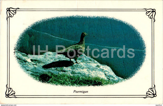 Ptarmigan - birds - SWB6 - 1981 - United Kingdom - used - JH Postcards
