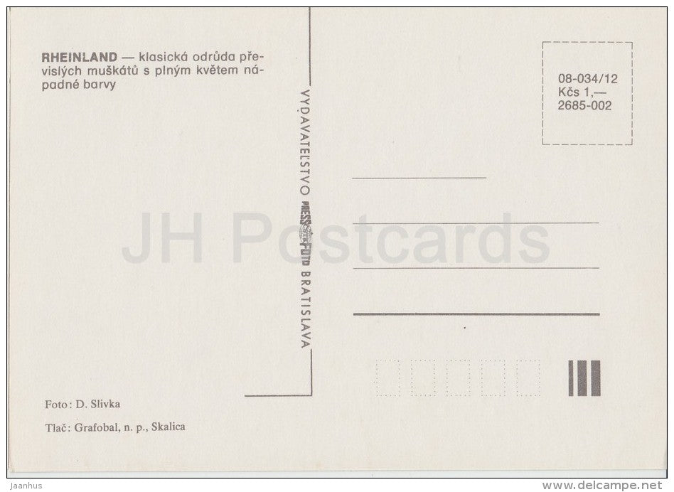 Rheinland - flowers - Geranium - 1985 - Czech - Czechoslovakia - unused - JH Postcards