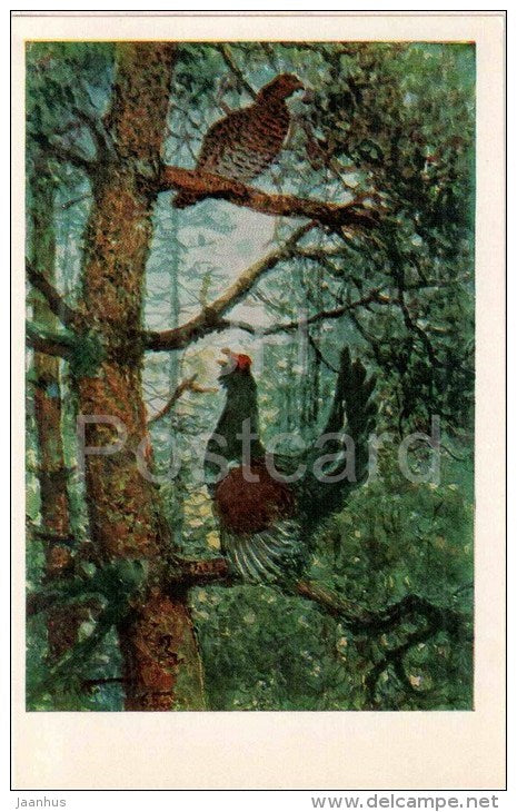 painting by A. Komarov - Capercaillie Serenade - russian art - unused - JH Postcards