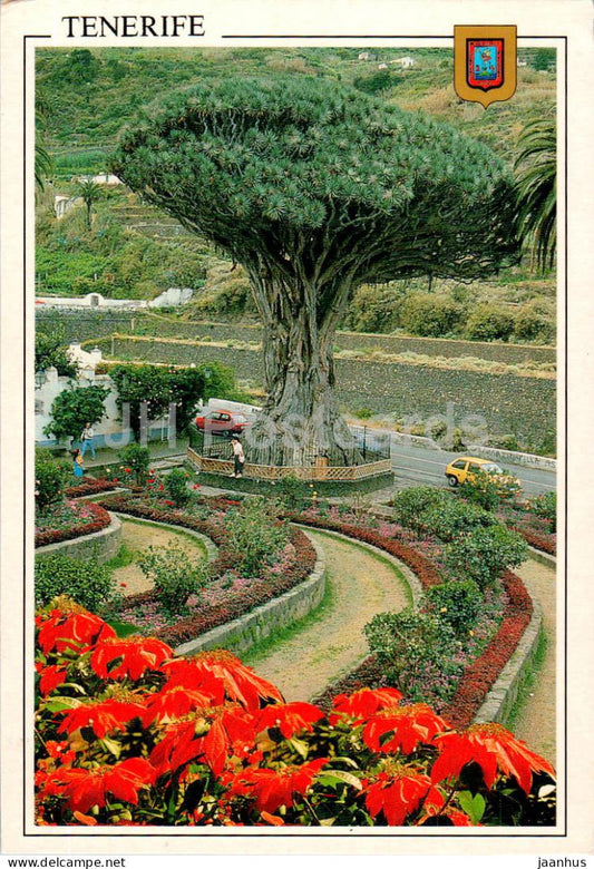 Icod de Los Vinos - Tenerife - Vista del Drago - View of the Drago tree - 465 - 1997 - Spain - used - JH Postcards