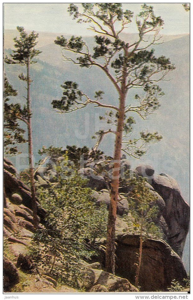 landscape view - Stolby Nature Sanctuary - 1968 - Russia USSR - unused - JH Postcards