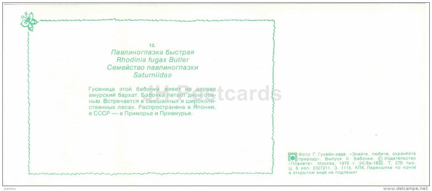 Rhodinia fugax - moth - butterfly - 1976 - Russia USSR - unused - JH Postcards