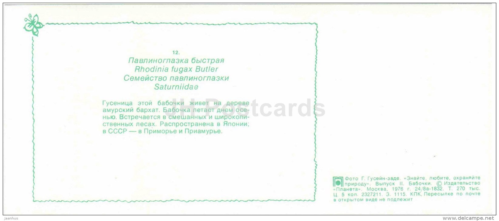 Rhodinia fugax - moth - butterfly - 1976 - Russia USSR - unused - JH Postcards
