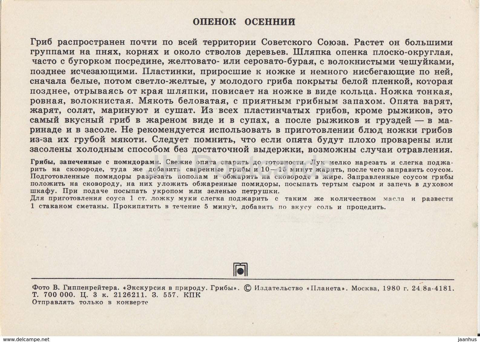 Honey fungus - Armillaria - Mushrooms - 1980 - Russia USSR - unused - JH Postcards