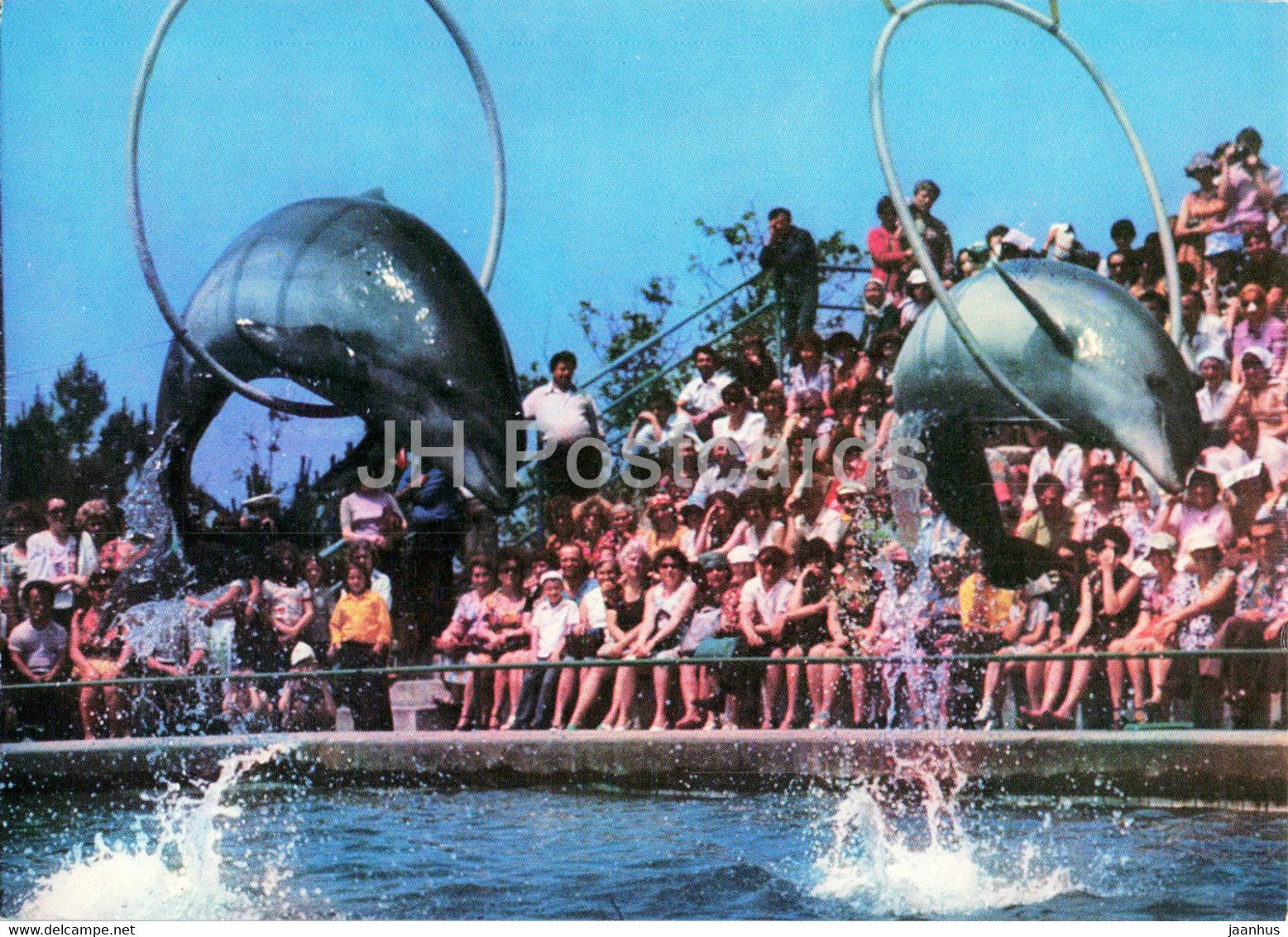 Batumi Dolphinarium - jump over the rings - dolphin - 1980 - Georgia USSR - unused - JH Postcards