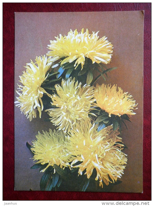 yellow chrysanthemum - flowers - 1982 - Estonia USSR - unused - JH Postcards