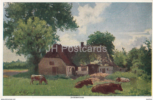 painting by Hermann Seeger - Sommertage - cow - animals - Primus - 1174 - German art - old postcard - Germany - unused - JH Postcards