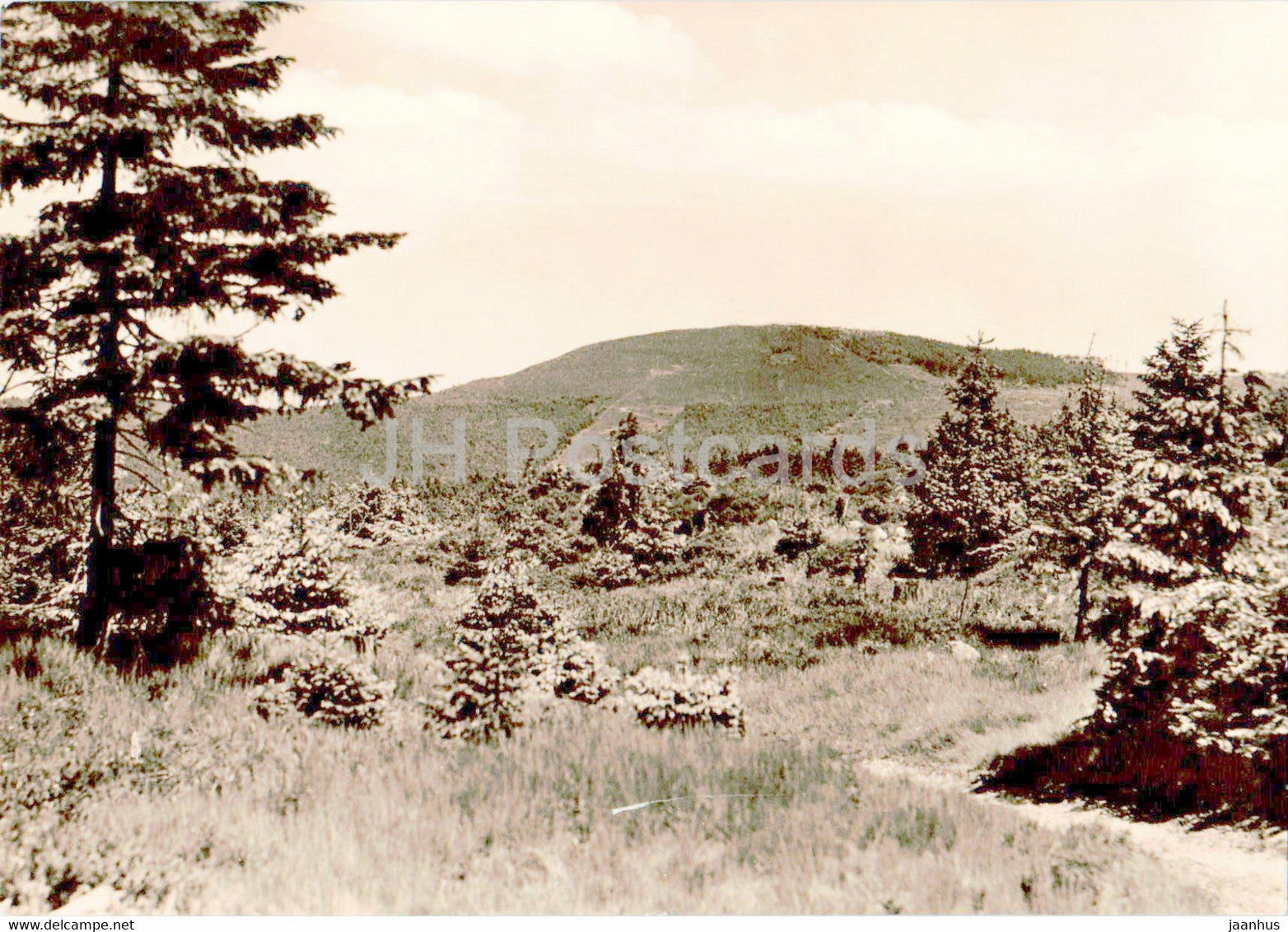 Oberhof - Blick nach dem Schneekopf - old postcard - 1976 - Germany DDR - used - JH Postcards