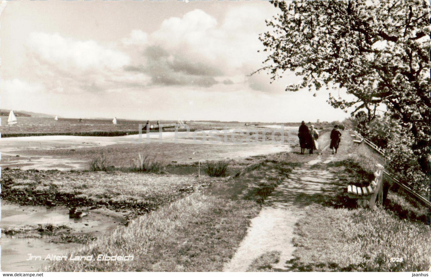Im Alten Land Elbdeich - old postcard - Germany - unused - JH Postcards
