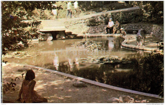 pond in the Primorsky park - Nikitsky Botanical Garden - Yalta - Crimea - 1972 - Ukraine USSR - unused - JH Postcards