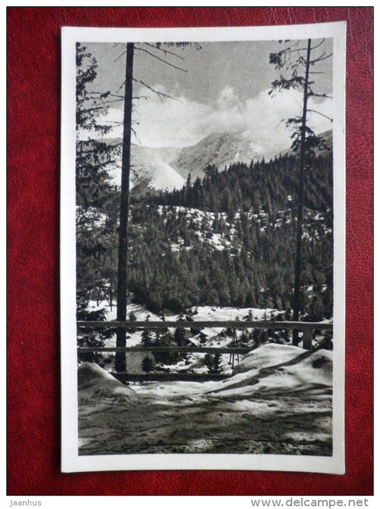 Tatry , Dolina Goryczkowa - Tatra Mountains , Valley Goryczkowa - old postcard - Poland - unused - JH Postcards