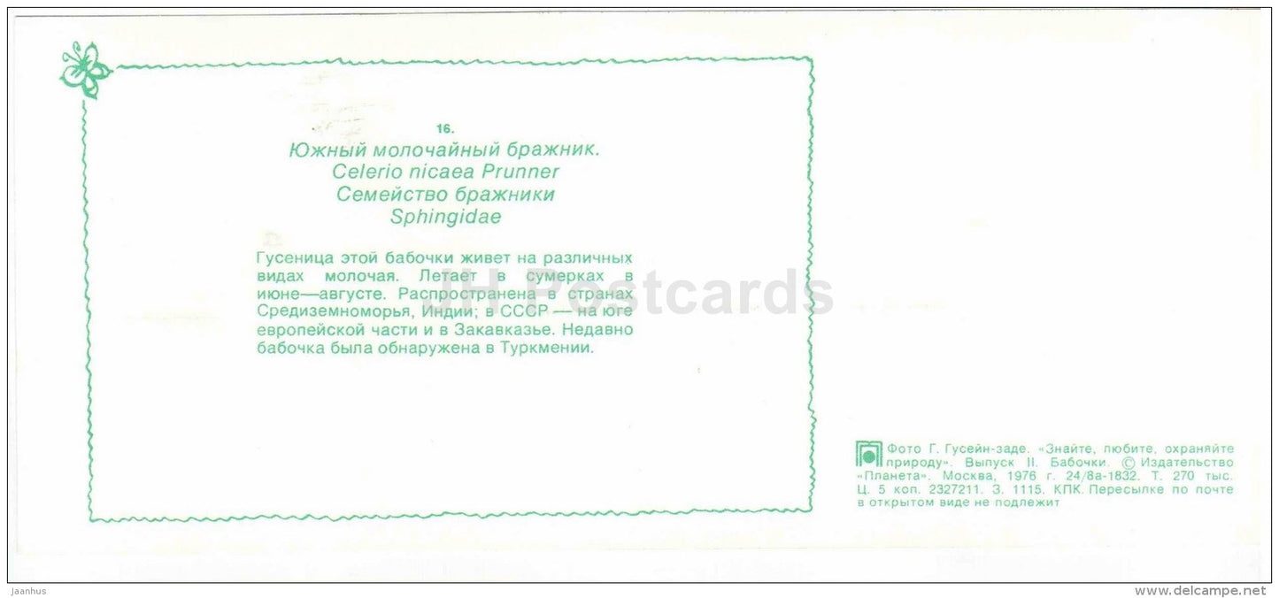 Celerio nicaea - moth - butterfly - 1976 - Russia USSR - unused - JH Postcards