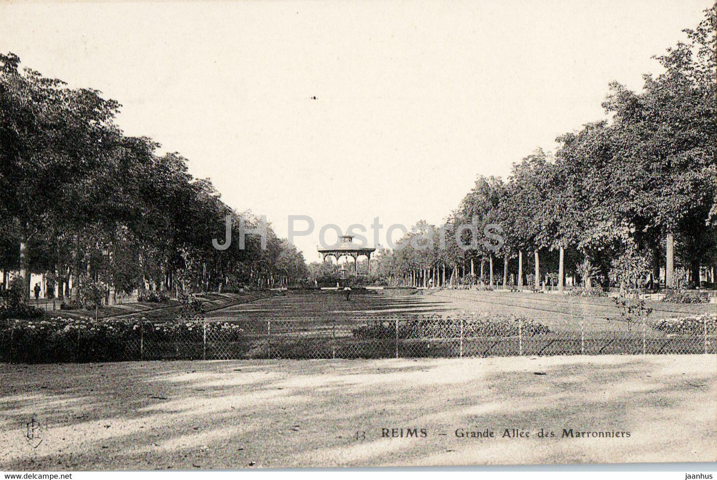 Reims - Grande Allee des Marroniers - 43 - old postcard - France - unused - JH Postcards