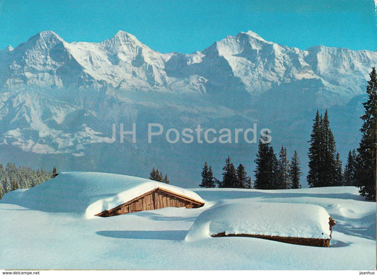 Chuematte 1691 m - Beatenberg - Eiger Monch Jungfrau - 682 - 1983 - Switzerland - used - JH Postcards