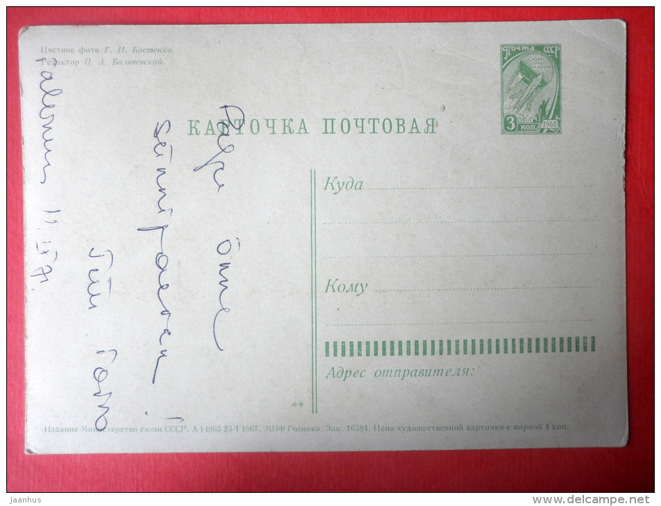 daisy - bellflowers - I - flowers - stationery card - 1967 - Russia USSR - used - JH Postcards