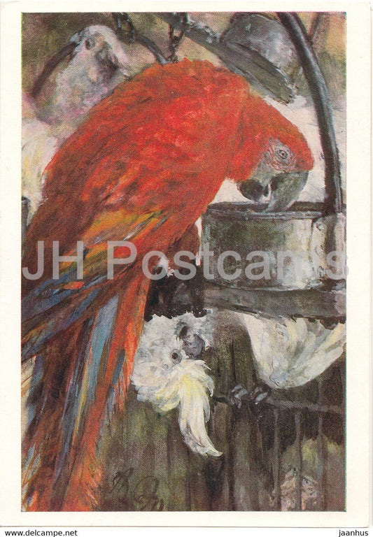 painting by Adolph von Menzel - Arara und Kakadu - Arara and Cockatoo - birds - German art - Germany DDR - used - JH Postcards