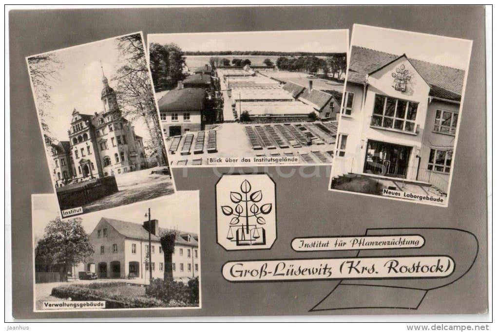 Institut für Pflanzenzüchtung - Gross Lüsewitz , Krs Rostock - Germany - DDR - unused - JH Postcards