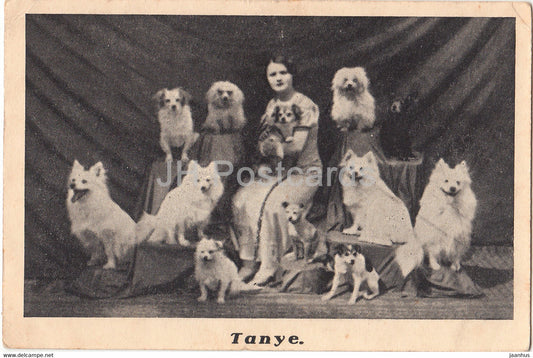 Tanye - dog circus - old postcard - Estonia - unused - JH Postcards