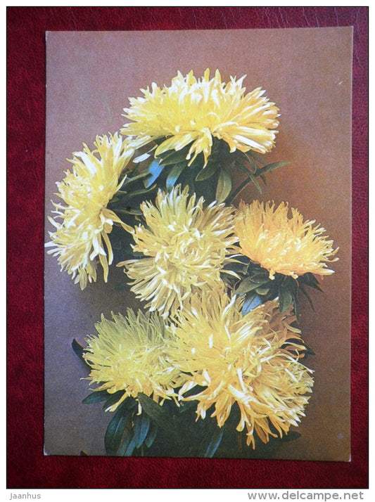 yellow chrysanthemum - flowers - 1982 - Estonia USSR - used - JH Postcards