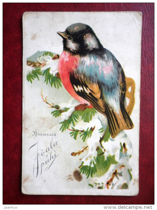 Christmas Greeting Card - bullfinch - bird - circulated in 1939 - Estonia - used - JH Postcards