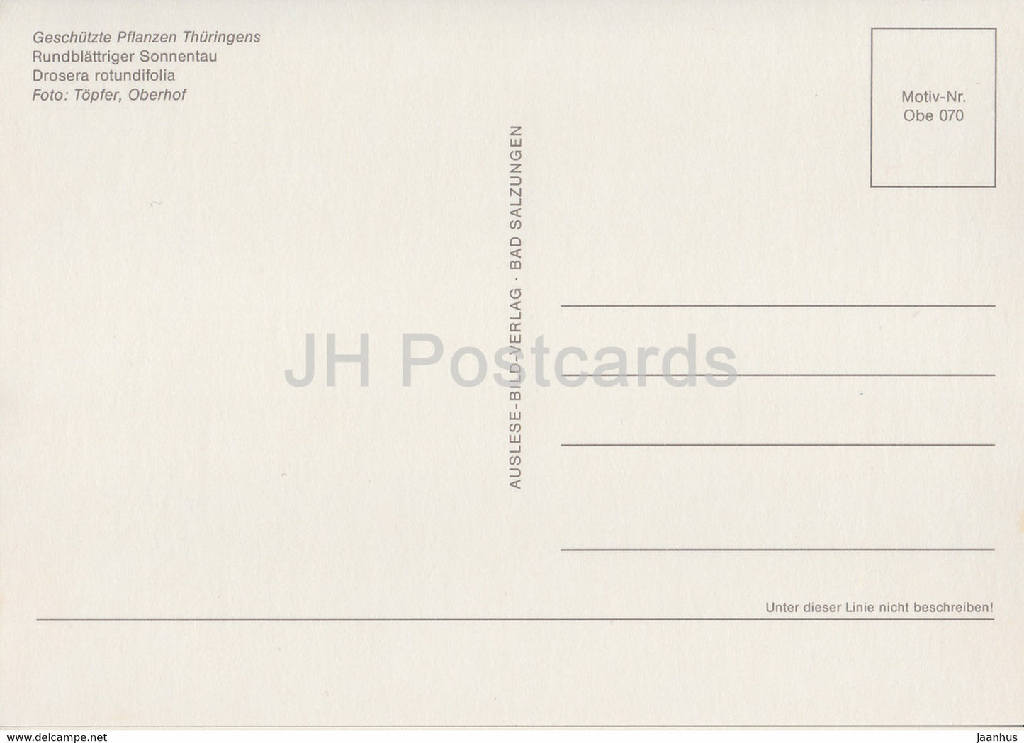 Round-leaved sundew - Drosera rotundifolia - Geschutzte Pflanzen - Protected plants - DDR Germany - unused