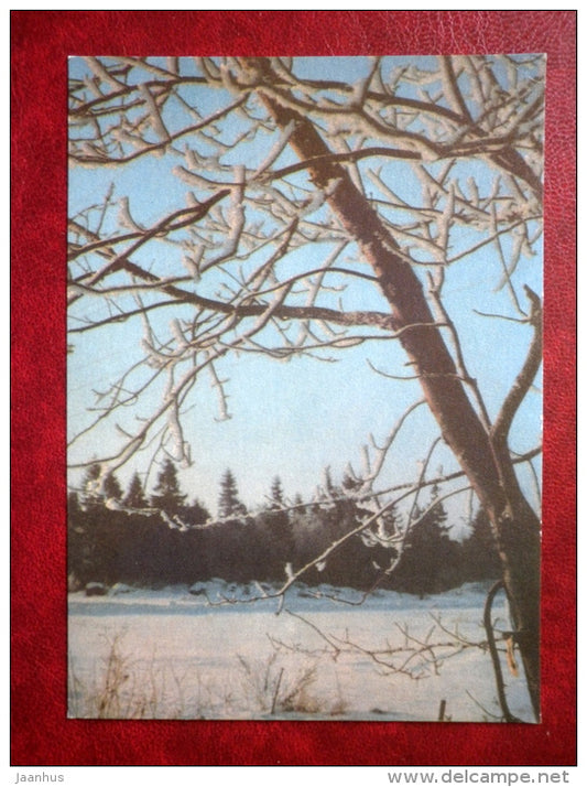 New Year Greeting card - winter - trees - 1971 - Estonia USSR - used - JH Postcards
