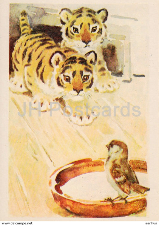 illustration by L. Gamburger - tiger - birds - animals - Postcards for Children - 1984 - Russia USSR - unused - JH Postcards