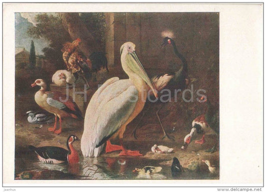painting by Melchior d'Hondecoeter - Bird`s Yard - duck - chicken - cock - pelican - dutch art - unused - JH Postcards