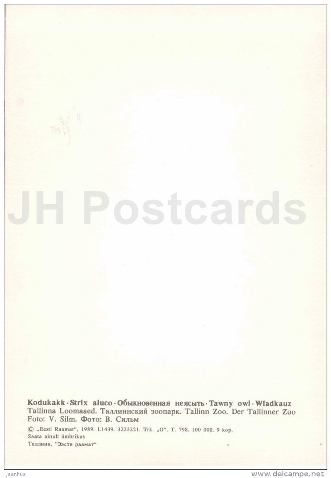 Tawny owl - Strix aluco - bird - large format card - Tallinn Zoo 50 - 1989 - Estonia USSR - unused - JH Postcards