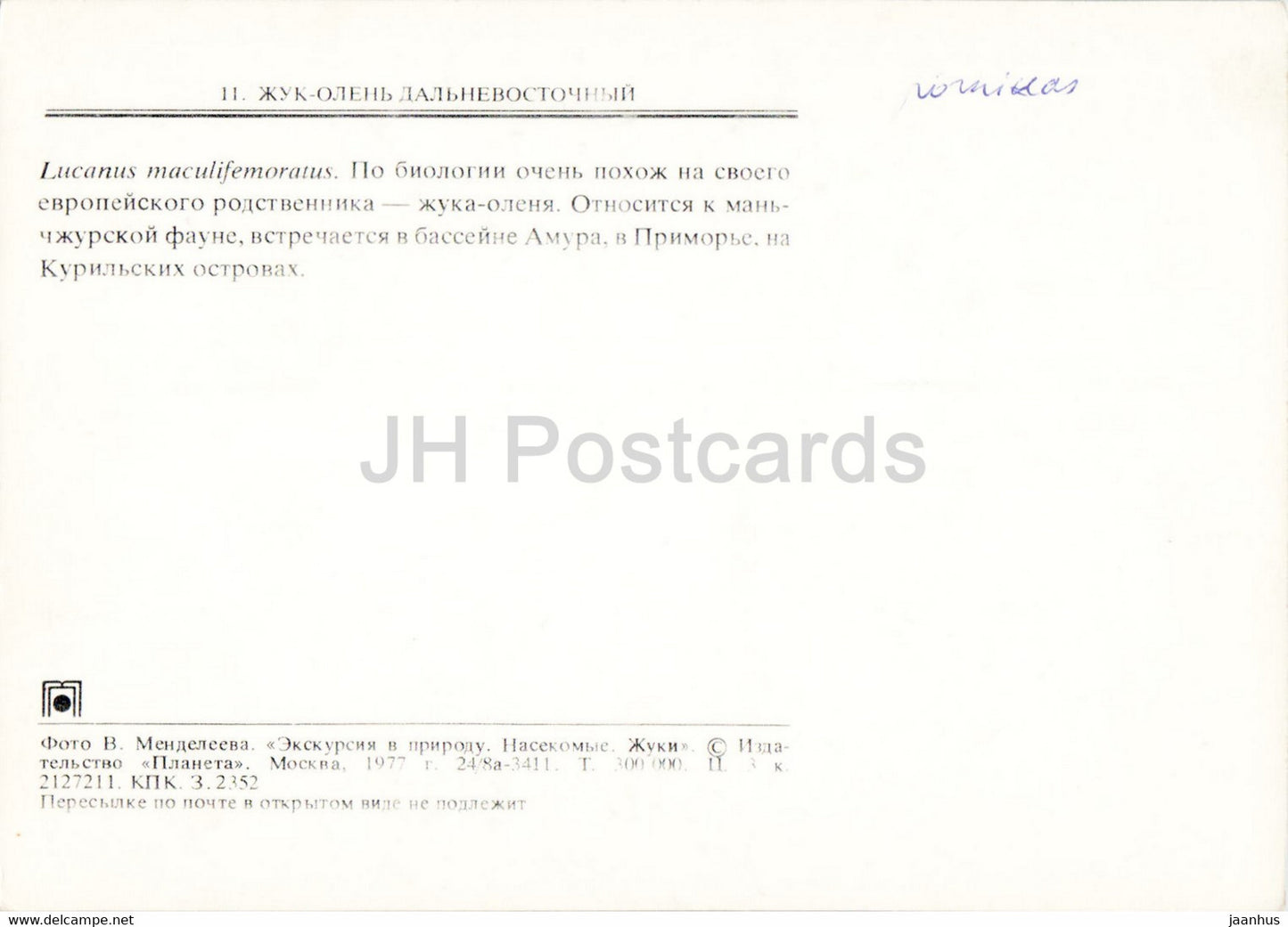 Miyama stag beetle - Lucanus maculifemoratus - insects - 1977 - Russia USSR - unused