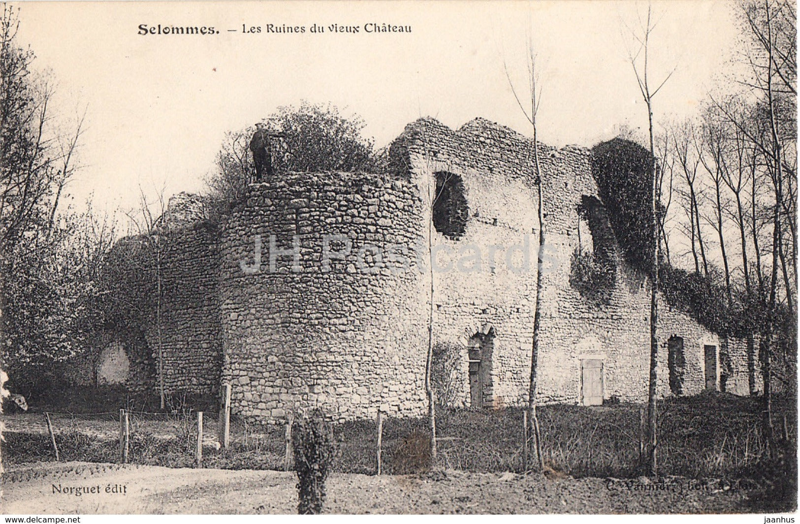 Selommes - Les Ruines du vieux Chateau - castle ruins - old postcard - France - unused