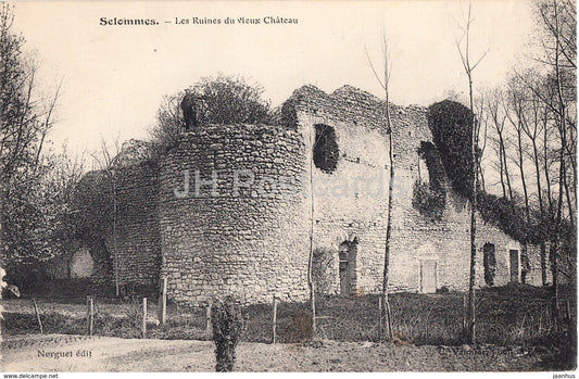Selommes - Les Ruines du vieux Chateau - castle ruins - old postcard - France - unused