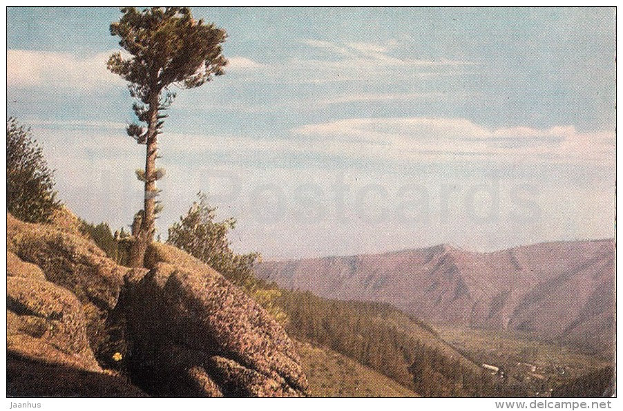 valley view near Bazaikhi river - Stolby Nature Sanctuary - 1968 - Russia USSR - unused - JH Postcards