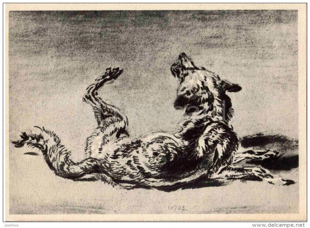 drawing by Jan Fyt - The Fox - flemish art - unused - JH Postcards